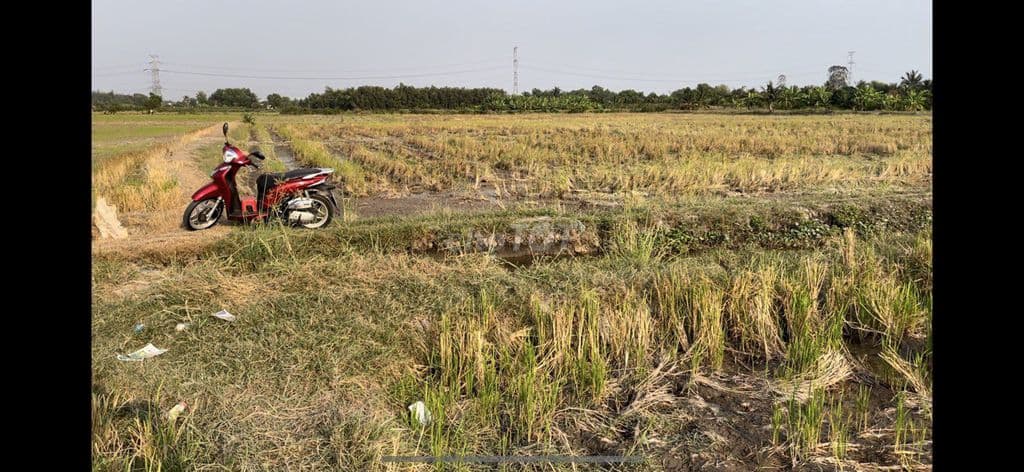 Ngộp bán rẻ lô đất hẻm chính chủ 2.940m² thuộc Tân Nhựt, Bình Chánh