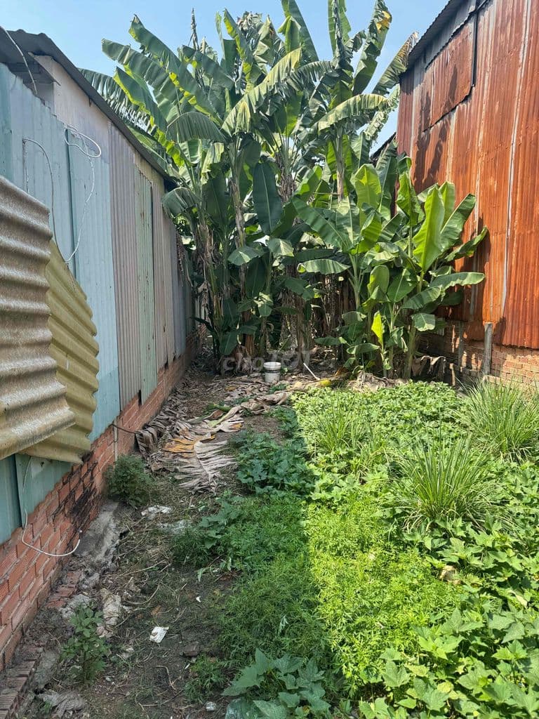 ĐẤT THỔ CƯ XÃ TRUNG AN HUYỆN CỦ CHI