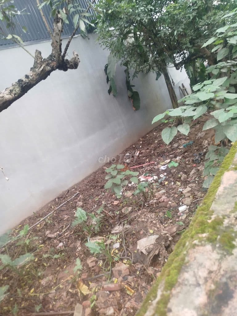 Bán 75,6m² đất thổ cư sổ đỏ Phụng Châu, Chương Mỹ