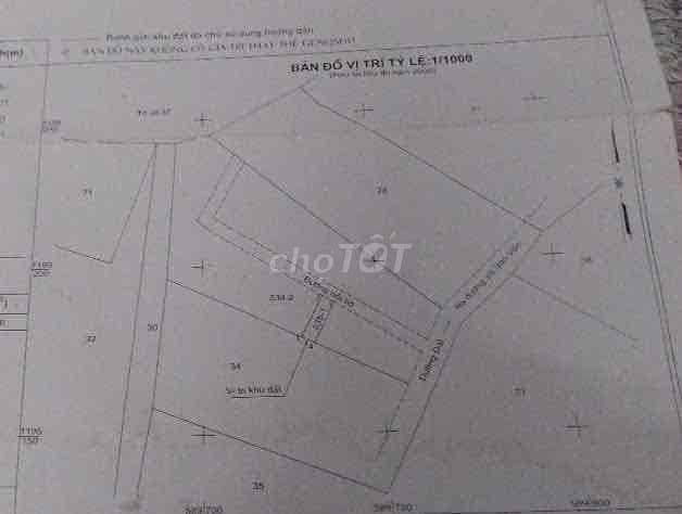 đất sổ chung - Ảnh 3
