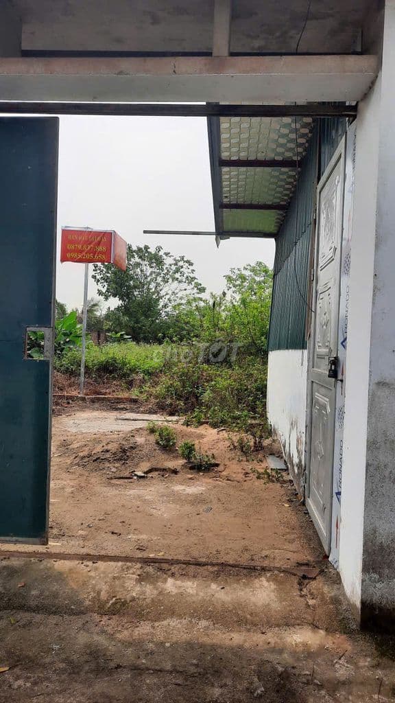 Cần bán gấp lô đất nông nghiệp 264m2 sát Đại Lộ Thăng Long - Ảnh 2