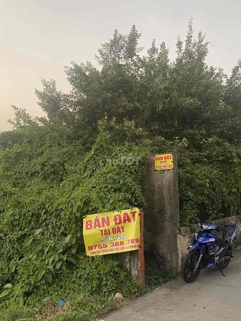 Bán Đất Bình Chánh 5x44.5 ( Tương lai Trường Học sát bên đường 20m