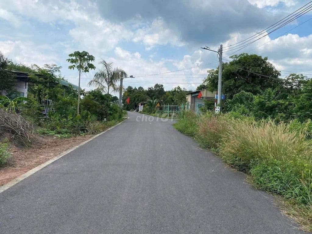 bán đất nhựa An Linh Phú giáo TPHCM giá 599tr