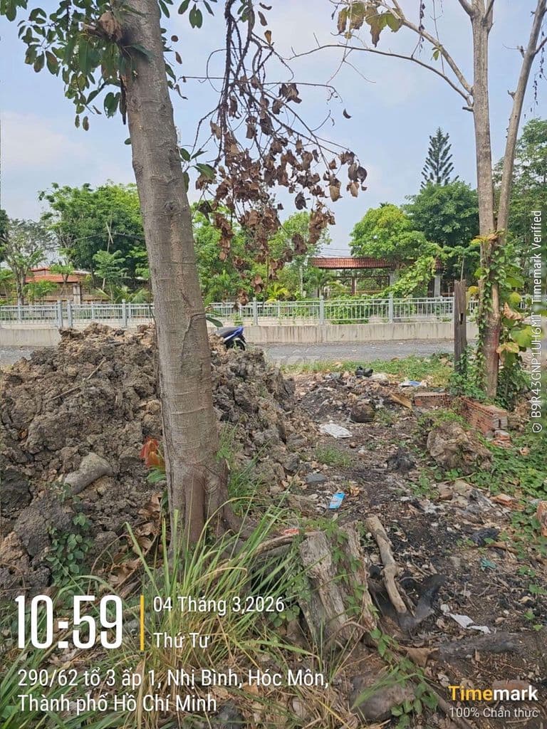 Đất Thổ Cư 2 Mặt Tiền Nhị Bình - Bùi Công Trừng - Ảnh 3