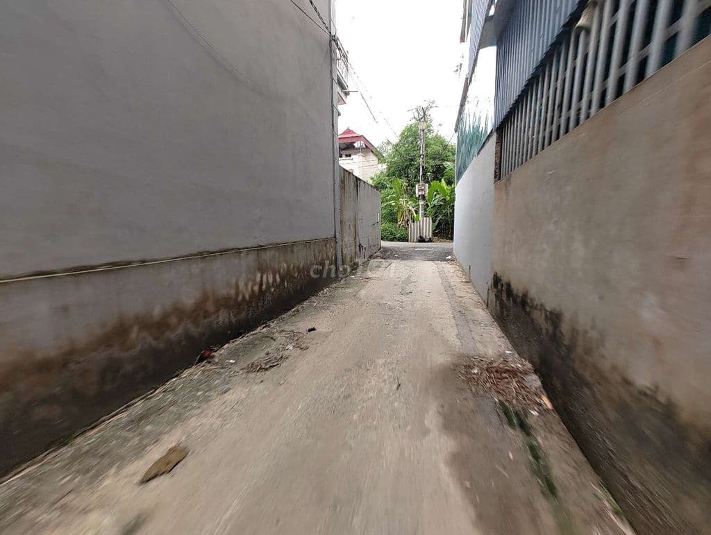 BÁN ĐẤT DƯỢC THƯỢNG – TIÊN DƯỢC – SÓC SƠN - Ảnh 3