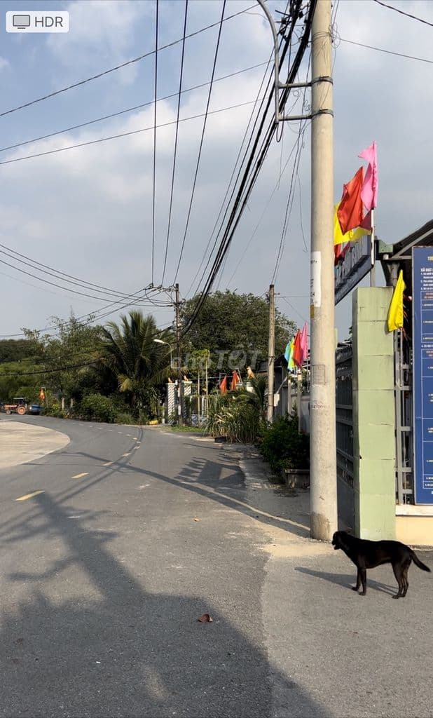 Gần chợ Phú Hoà Đông 6x16m Full thổ 2 Mặt tiền nhựa - SHR - KDC 1/500 - Ảnh 3