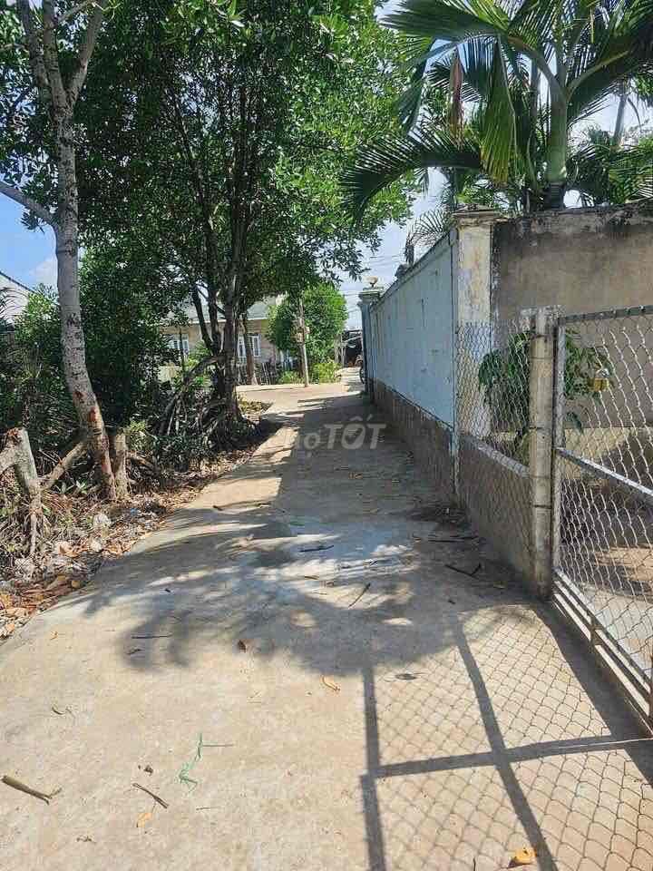 bán đất thổ cư bình khánh mới cần giờ - Ảnh 3