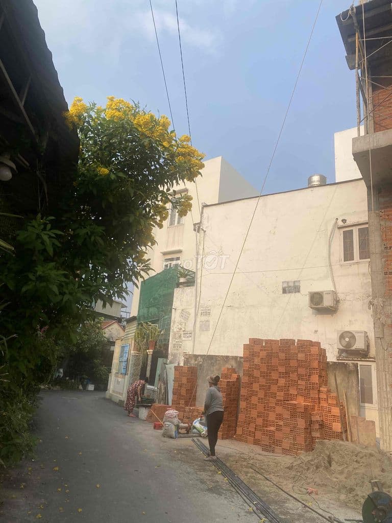 🌹ĐẤT SẠCH, TRỐNG SÁT ĐỒNG VĂN CỐNG THÔNG NGUYỄN THỊ ĐỊNH,NGUYỄN DUY TR - Ảnh 3