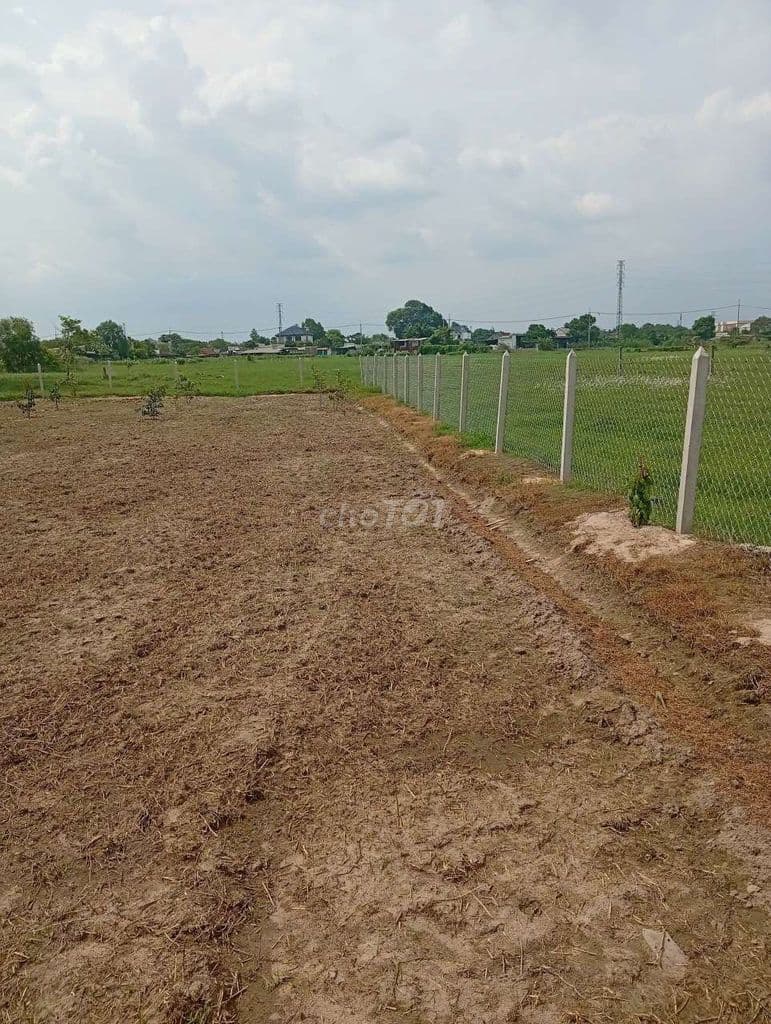 Bán đất làm nhà Vườn tại hẻm 158 Bến Than, Bình Mỹ, Củ Chi. - Ảnh 3