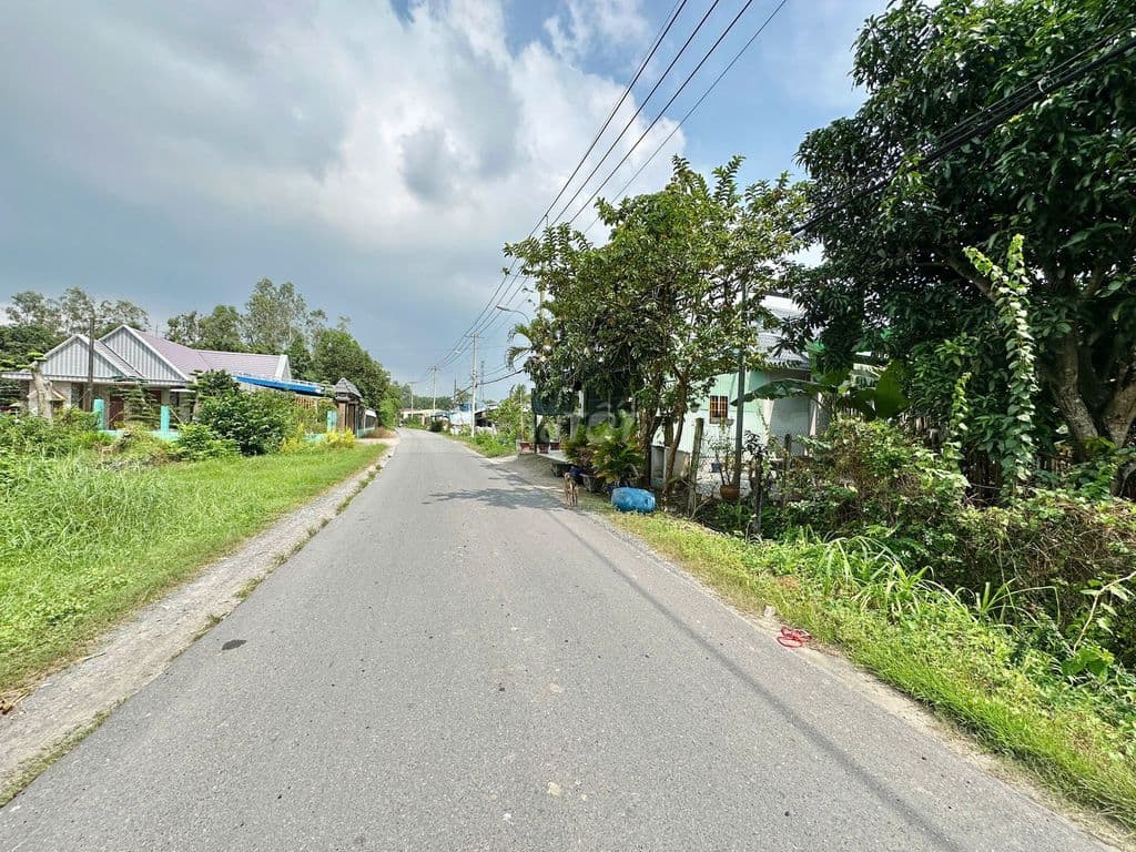 Thanh lý miếng đất mặt tiền đường 6m tại xã Phước Thạnh Củ Chi SHR - Ảnh 3