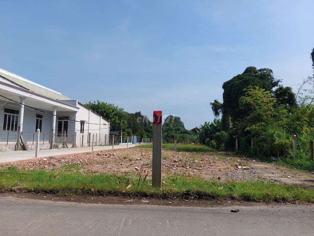 SOS bán 275m2 đất full TC ,X.Tân Phú Trung, Củ Chi.Giá 652triệu - Ảnh 2