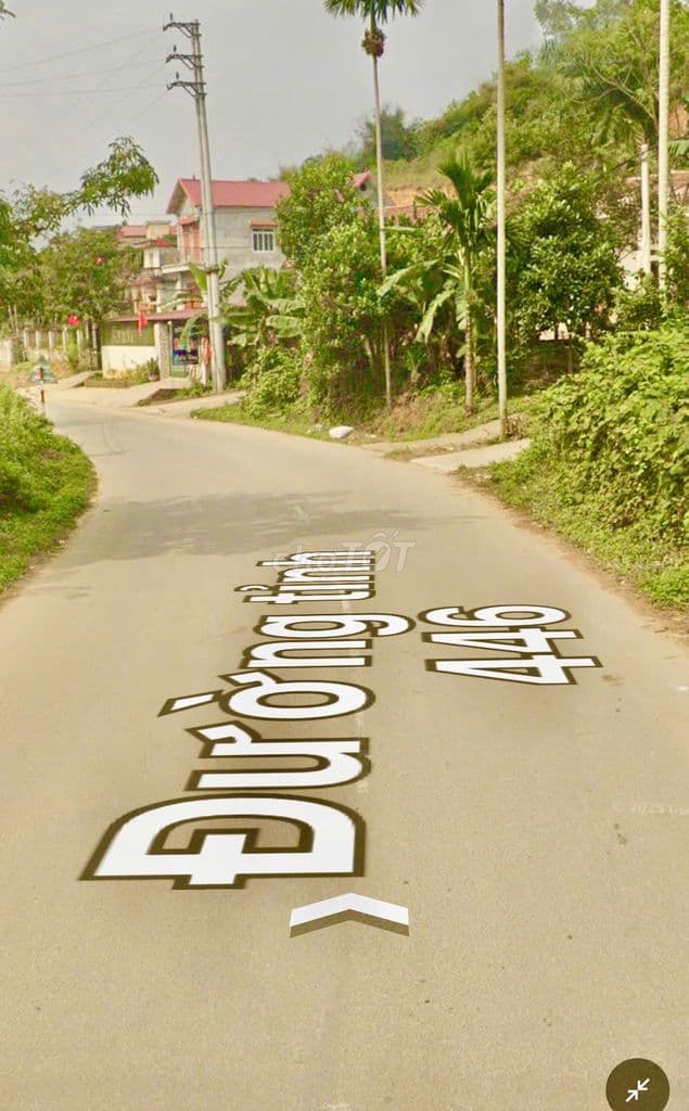 CC GỬI BÁN_1705m2_ĐẤT LÀM HOMESTAY ĐT446_GIÁ ĐẦU TƯ GẦN 20triệu/m2 - Ảnh 3