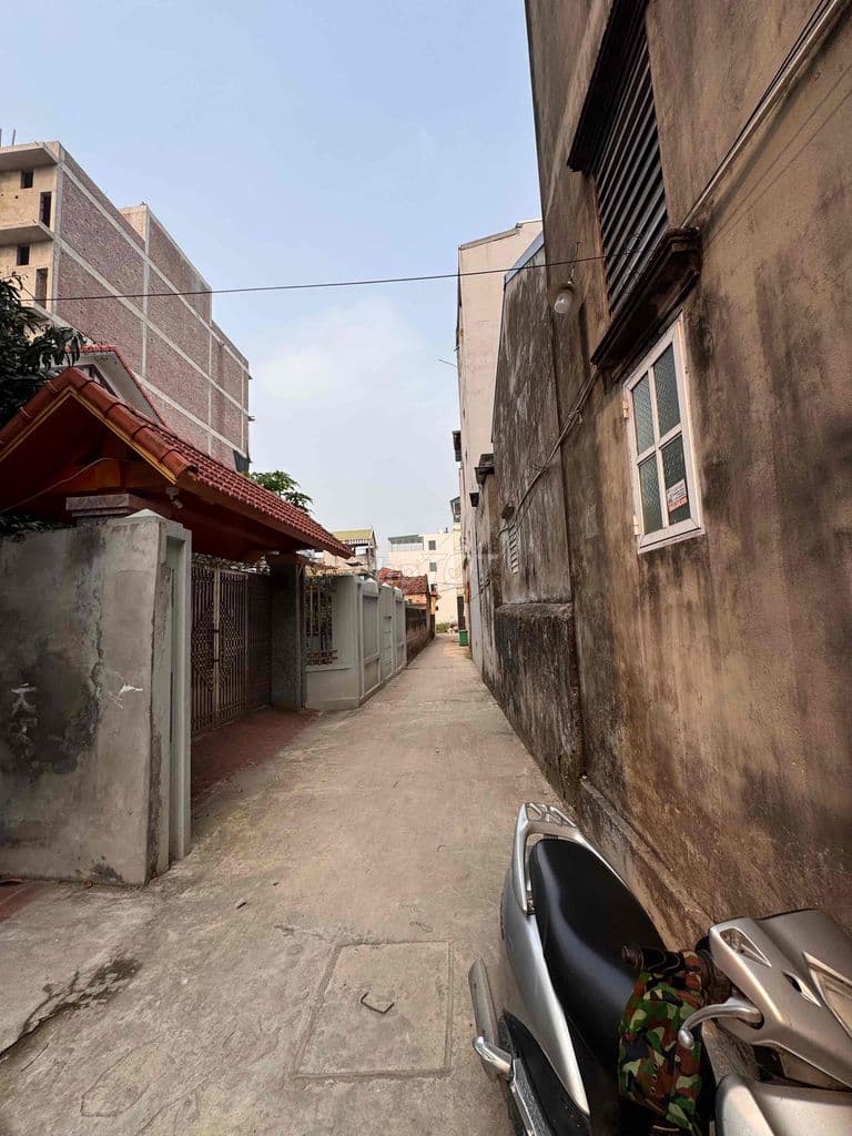 em cần bán - Ảnh 2