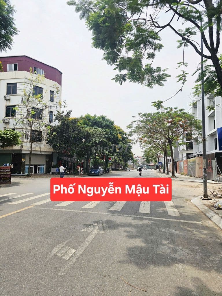 CỰC PHẨM 60M2, ĐẤT TĐC TRÂU QUỲ, GIA LÂM, ĐƯỜNG VỈA HÈ, 3 OTO TRÁNH - Ảnh 2