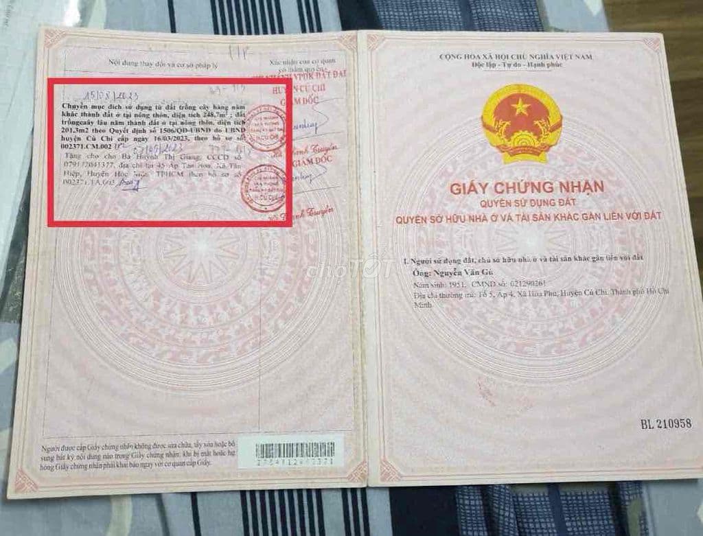 bán đất tặng nhà cấp 4 mặt tiền tỉnh lộ 8 đường xe công chạy - Ảnh 2