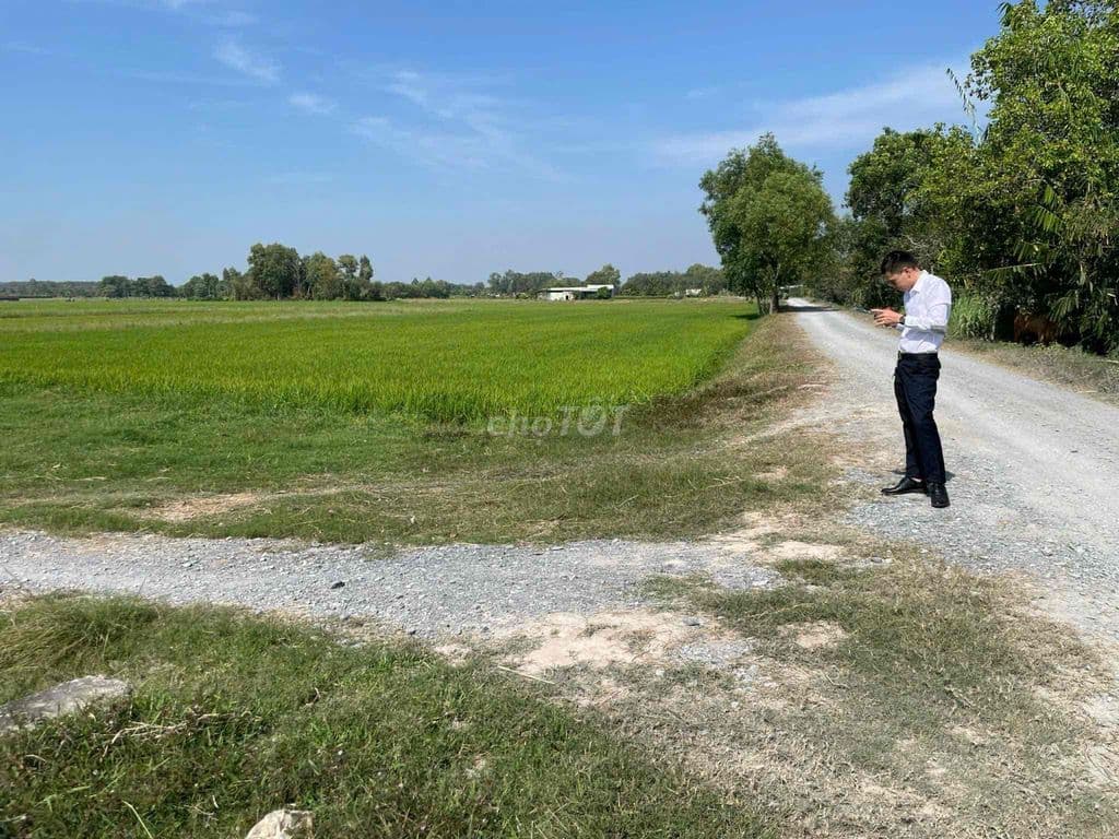 300m2 đất trung tâm Củ Chi chỉ 2.6tr/m2 - Ảnh 3