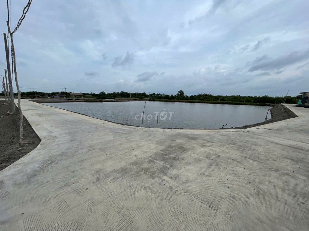 1347m2 đất mặt tiền đường - Ảnh 2