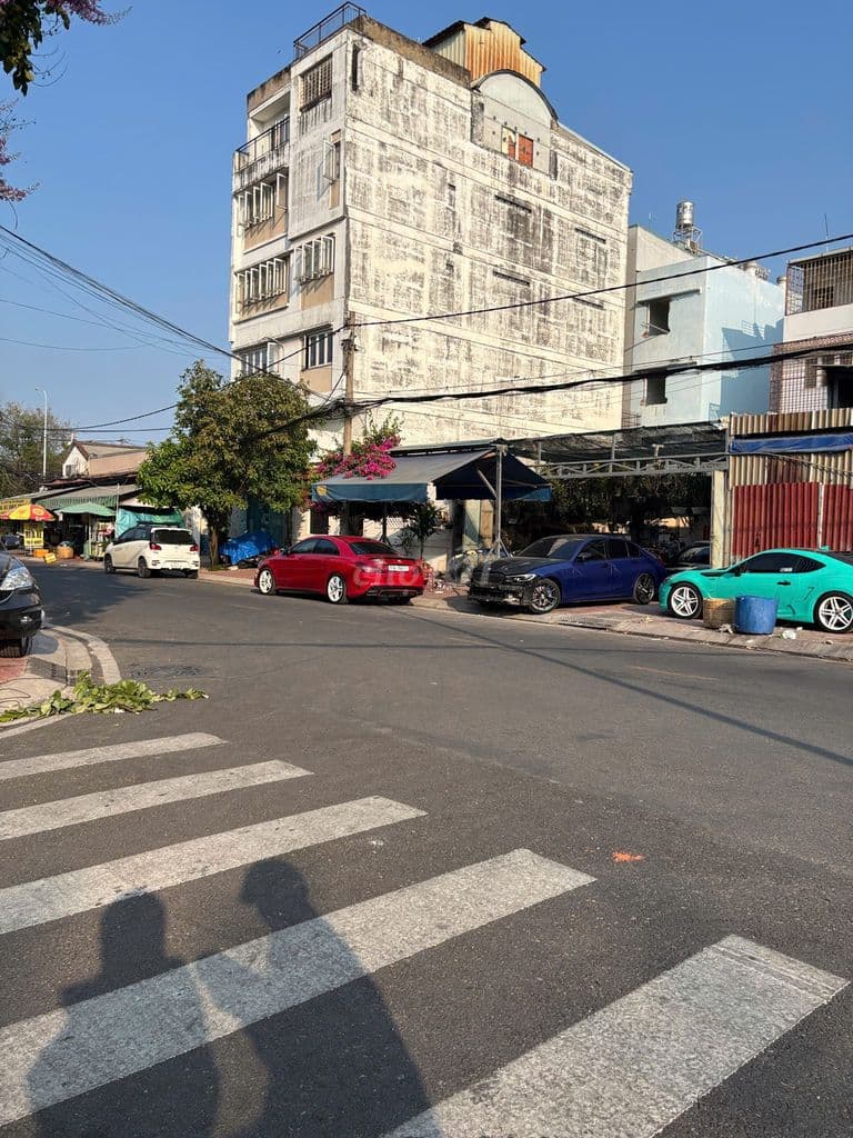 Bán 262m2 (12x22m) đất Biệt thự, KDC Cao Lỗ, P.4, Q.8