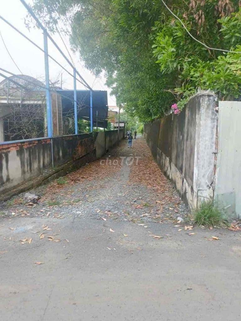 LÔ GÓC 2 MẶT TIỀN – 500M² – ĐƯỜNG NHỰA XE TẢI – CHỈ 7,5 TỶ | HƯNG LON - Ảnh 2