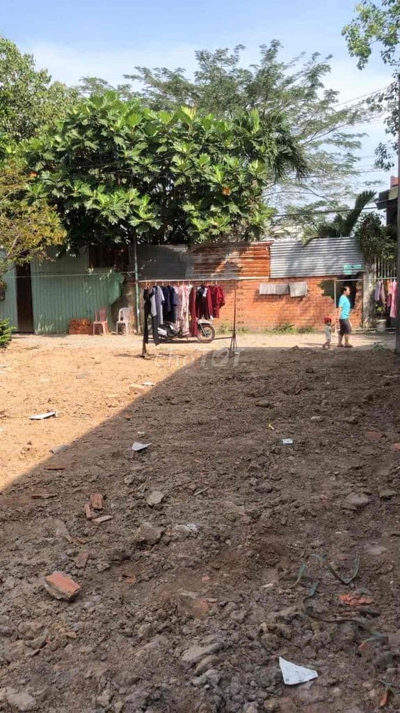 Cần bán đất thổ cư gấp ,còn thương lượng - Ảnh 2