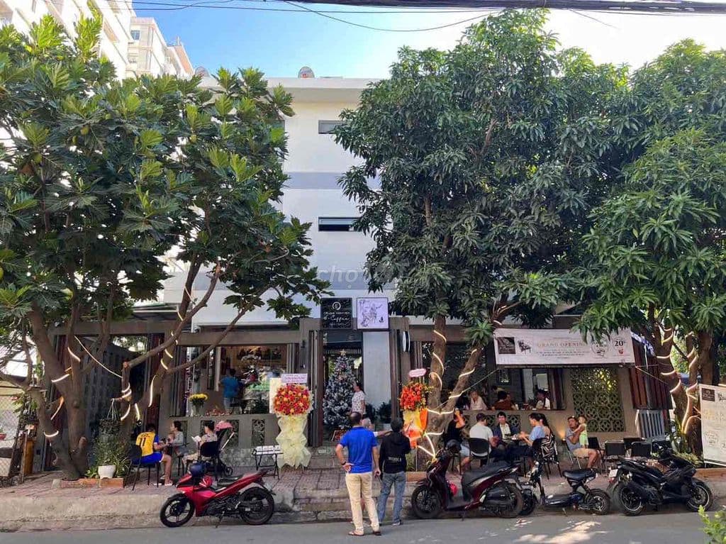 Biệt thự góc 3 mặt tiền - Ảnh 3