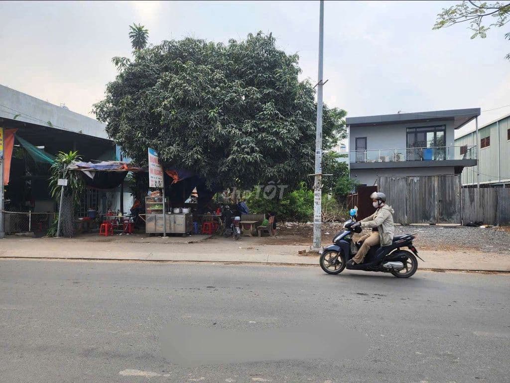 Bán 200m2 đất mặt tiền Lại Hùng Cường buôn bán kinh doanh thuận lợi - Ảnh 2