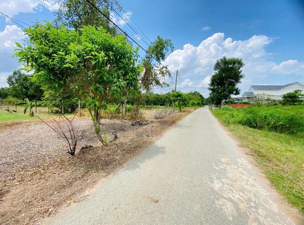 cần bán gấp lô đất 300m2 giá 1,4 tỷ ngay mặt tiền đường Dương Thị Yêm - Ảnh 3