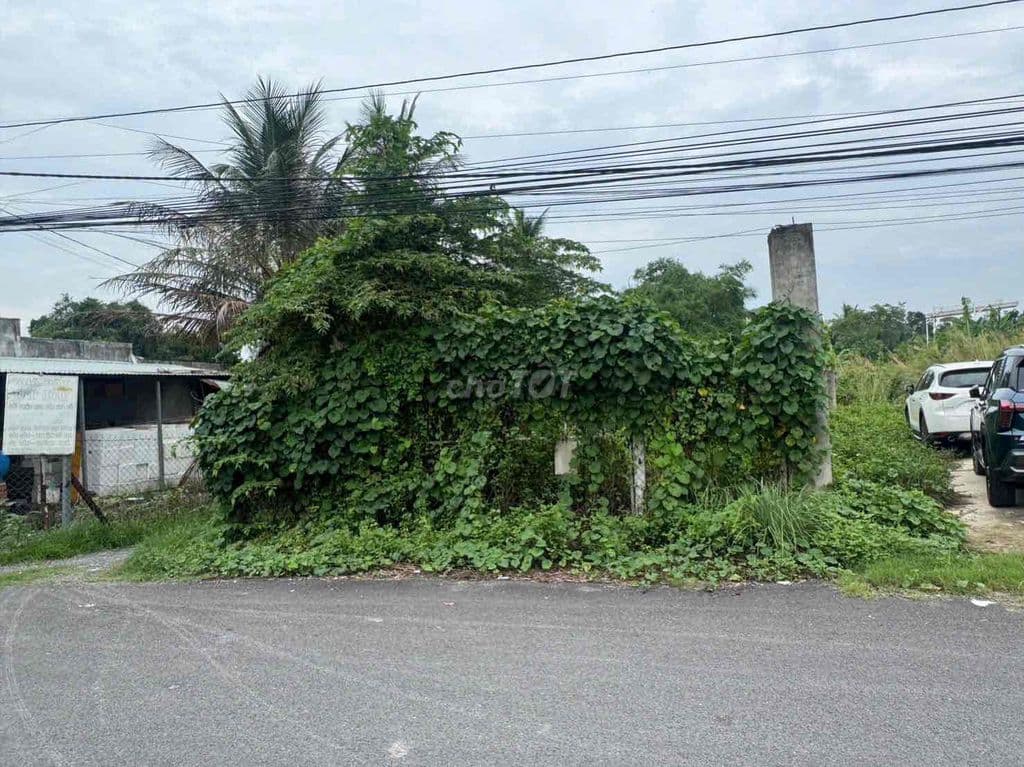 234m2 mặt tiền Trung An Củ Chi Full thổ - Ảnh 3