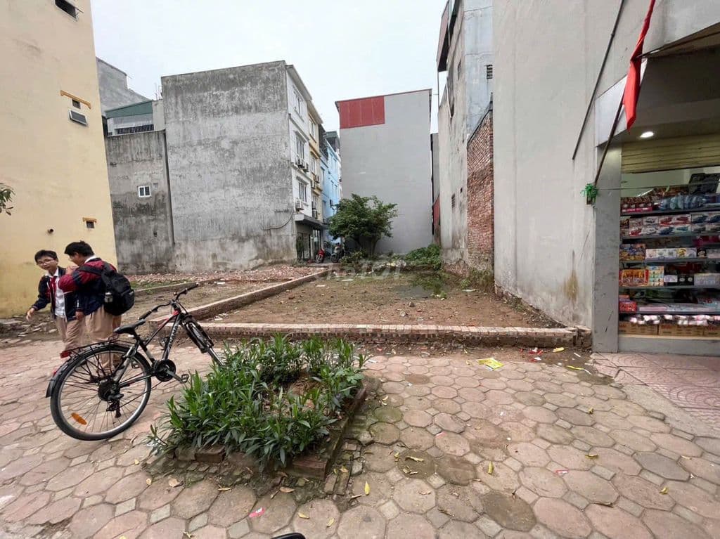 Bán đất phúc lợi, 82m2 trục chính đường to kinh doanh - Ảnh 3