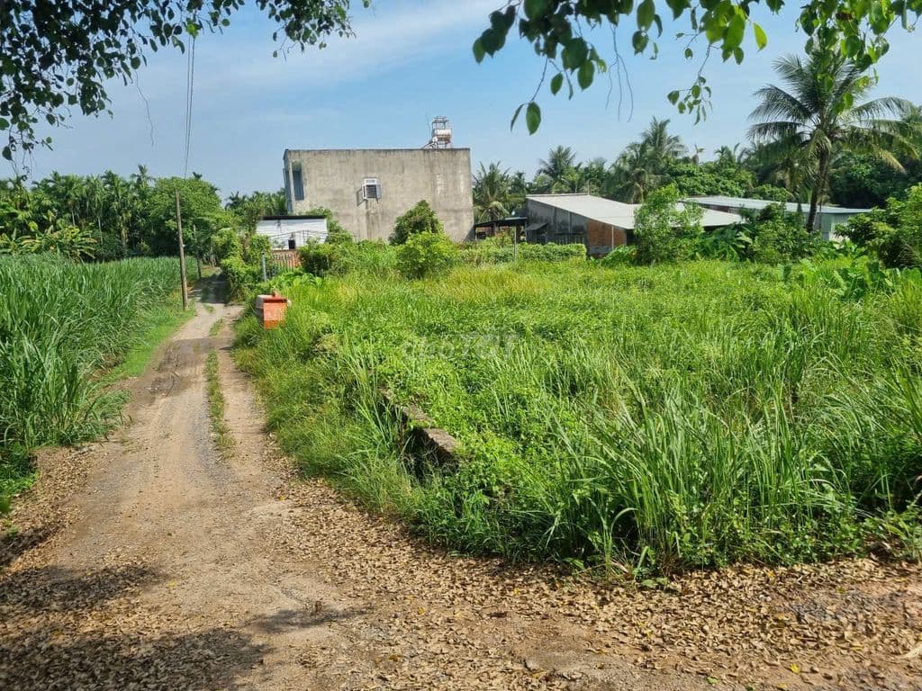 🔥 CHÍNH CHỦ CẦN BÁN LÔ ĐẤT ĐẸP HÓC MÔN (QUẬN 12) – 2 MẶT TIỀN HIẾM 🔥 - Ảnh 3