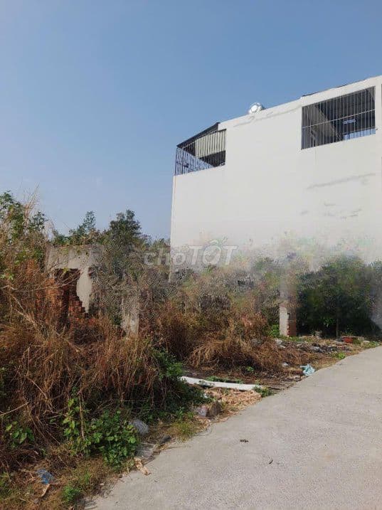 Bán đất Võ Thị Thừa, An Phú Đông Q12, 58m2 view sông, hẻm xe hơi - Ảnh 3