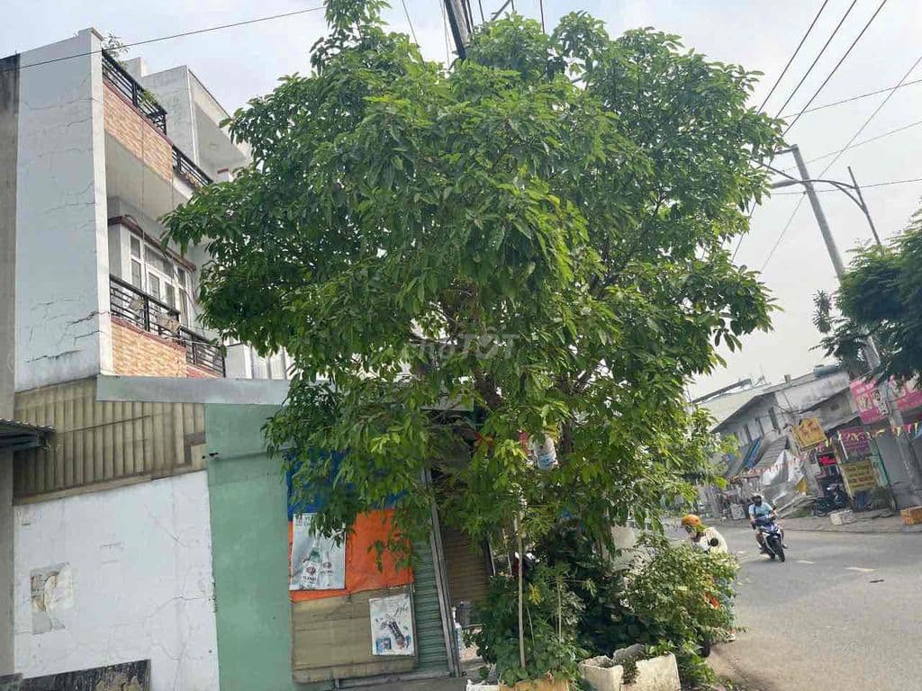 Nhà 1 trệt 2 lầu MT nguyễn thị thích bình chiểu TP HCM - DT 4.2 x 17 - Ảnh 3