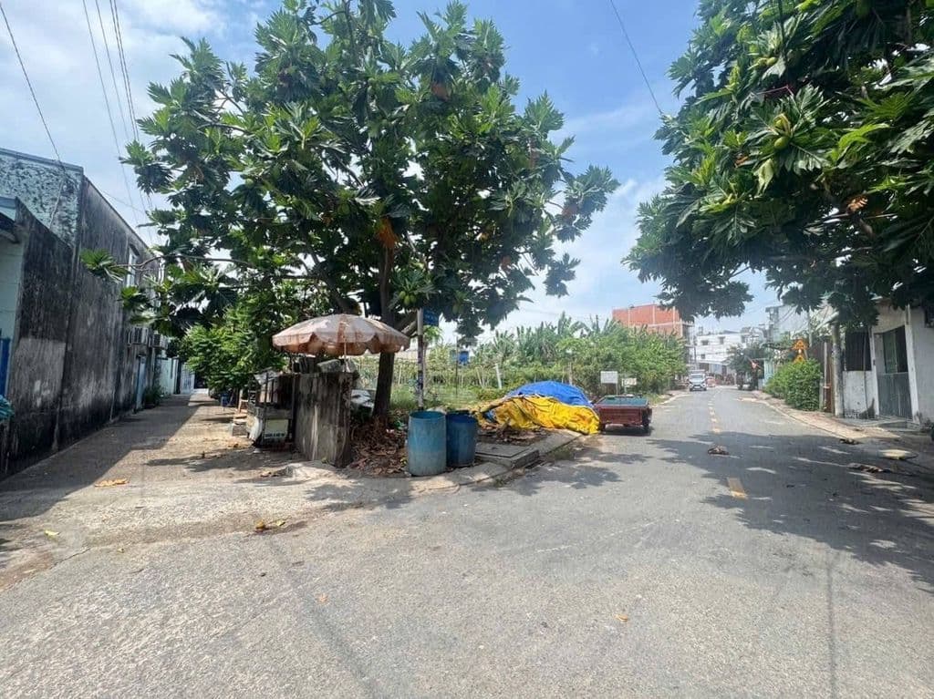 🌎 BÁN ĐẤT XÃ ĐÔNG THẠNH, HÓC MÔN – SỔ HỒNG RIÊNG – GIÁ TỐT - Ảnh 2