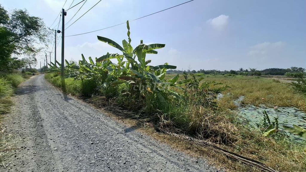 Cần bán gấp 3410m đất trồng cây lâu năm xã Đa Phước BC - Ảnh 2
