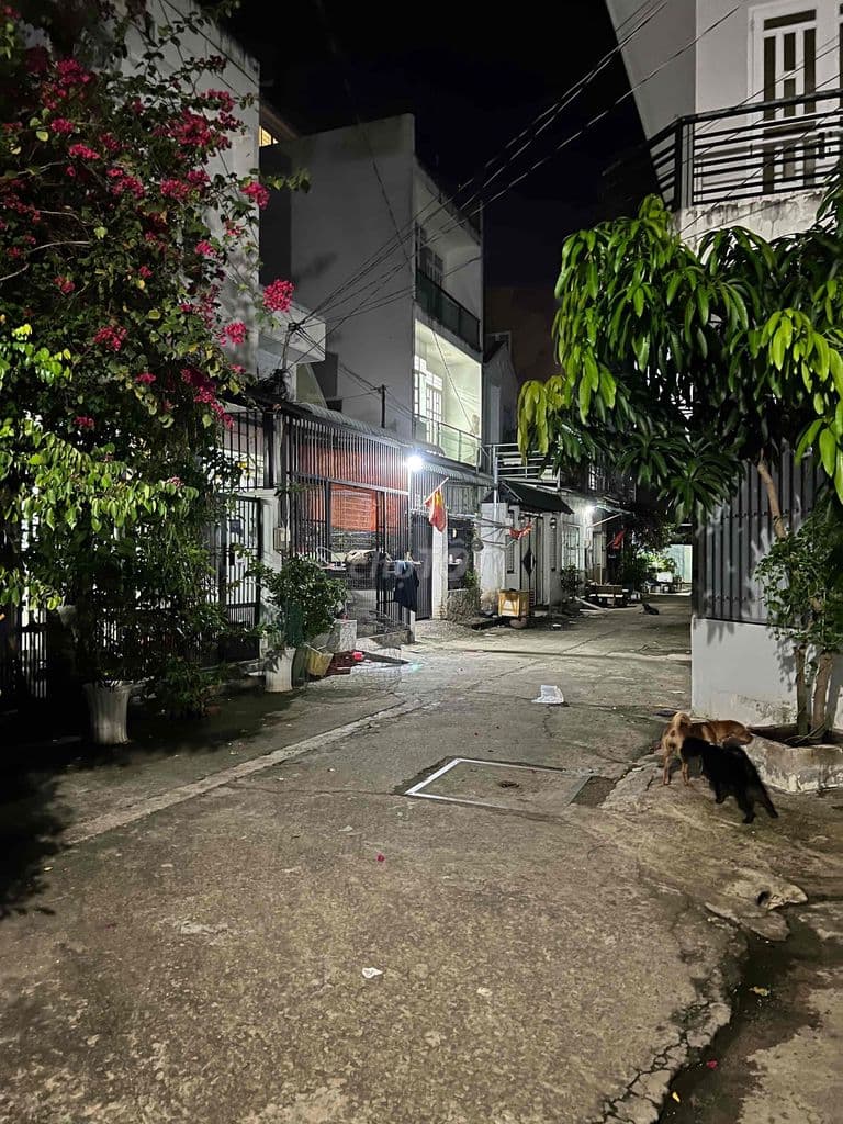Bán nhà hẻm xe hơi - Ảnh 3