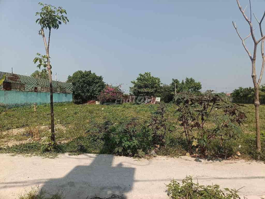 lô đất vuông vức 5x24m-XTT mặt tiền đường 10m gần Phan Văn Hớn - Ảnh 3