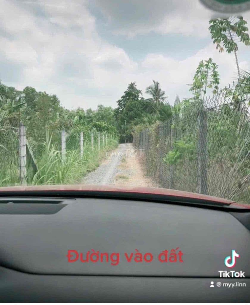 Bán đất vườn nở hậu, hẻm xe hơi, sổ riêng chính chủ, dễ đầu tư - Ảnh 2