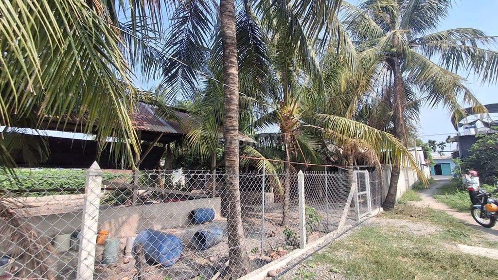 Bán đất 1100m mặt tiền 54m x 20m đường xe tải cách đường Bình Mỹ 30m - Ảnh 3