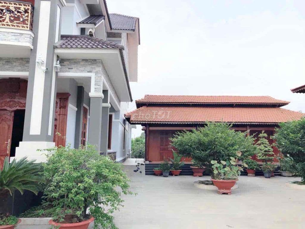 biệt thự 4800m2 Ngay Quốc Lộ 22 , Ba sa vào 100m . - Ảnh 3