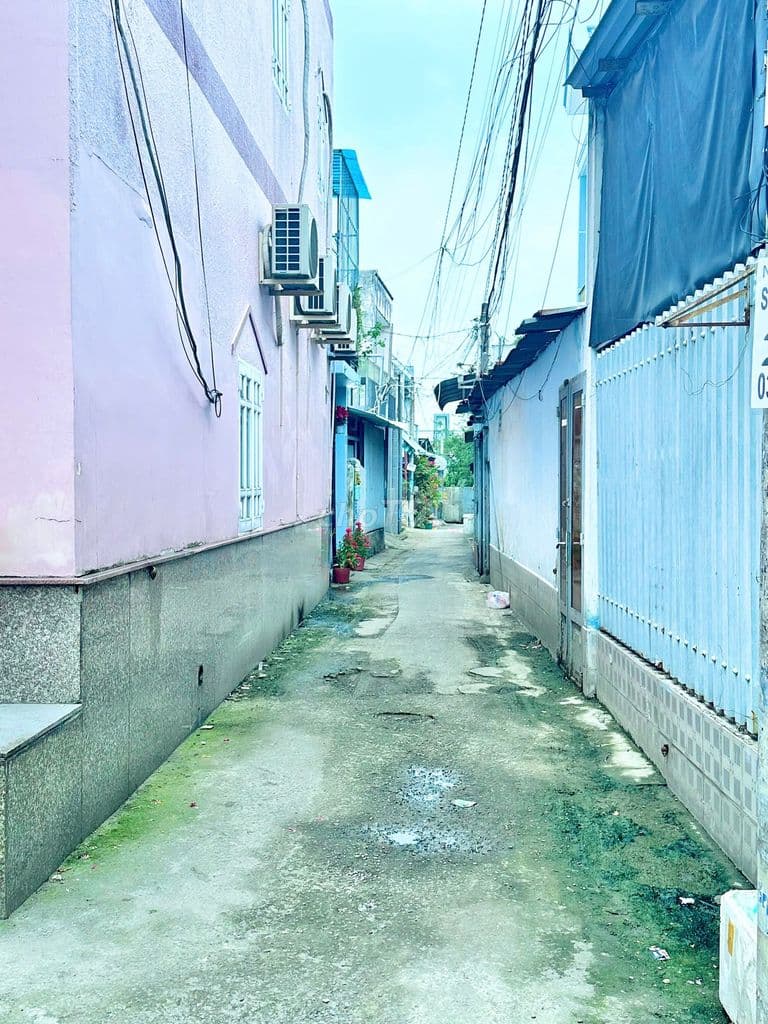 Đất rẻ 4x20m_ Ngay Thị Trấn Hóc Môn_ Sát bên trường học Lý Thường Kiệt - Ảnh 3