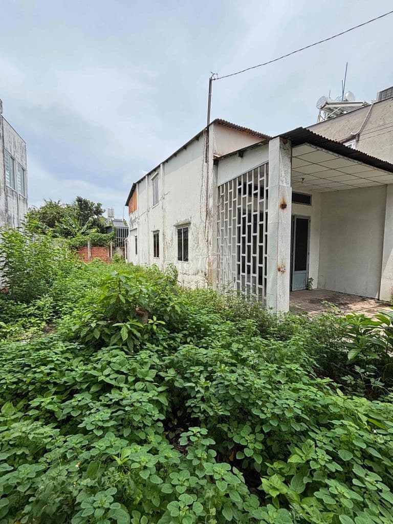 249M2 BÁN ĐẤT TẶNG NHÀ CÒN Ở ĐƯỢC NGAY DƯƠNG CÔNG KHI- NGANG LỚN 9,6M - Ảnh 3