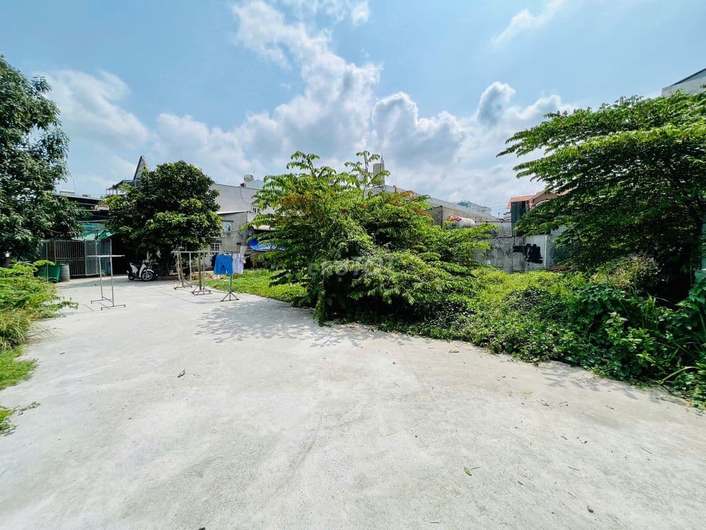 Bán Đất Bình Tân HXH 1/ Đường Nguyễn Thị Tú 60m2 SHR Giá Tốt 3,9 Tỷ - Ảnh 3