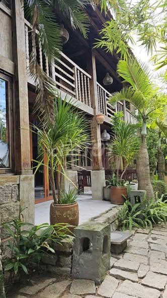 bán đất 260m2 view sông rừng dừa