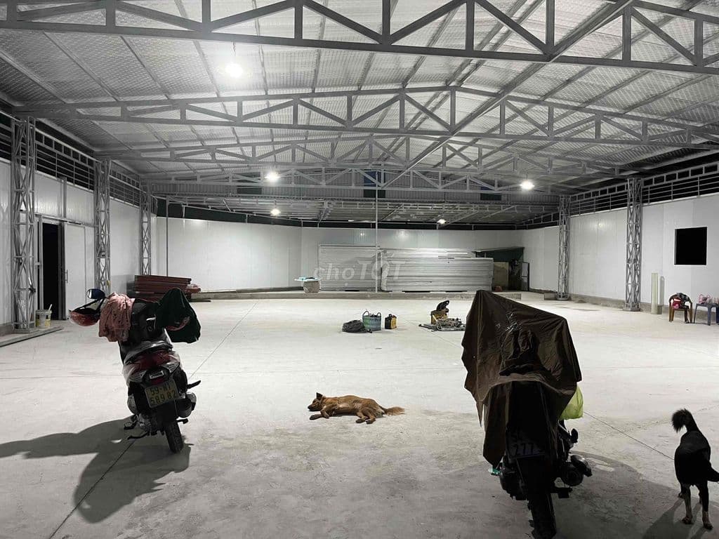 Bán/ cho thuê mặt tiền đường nhựa - Ảnh 3