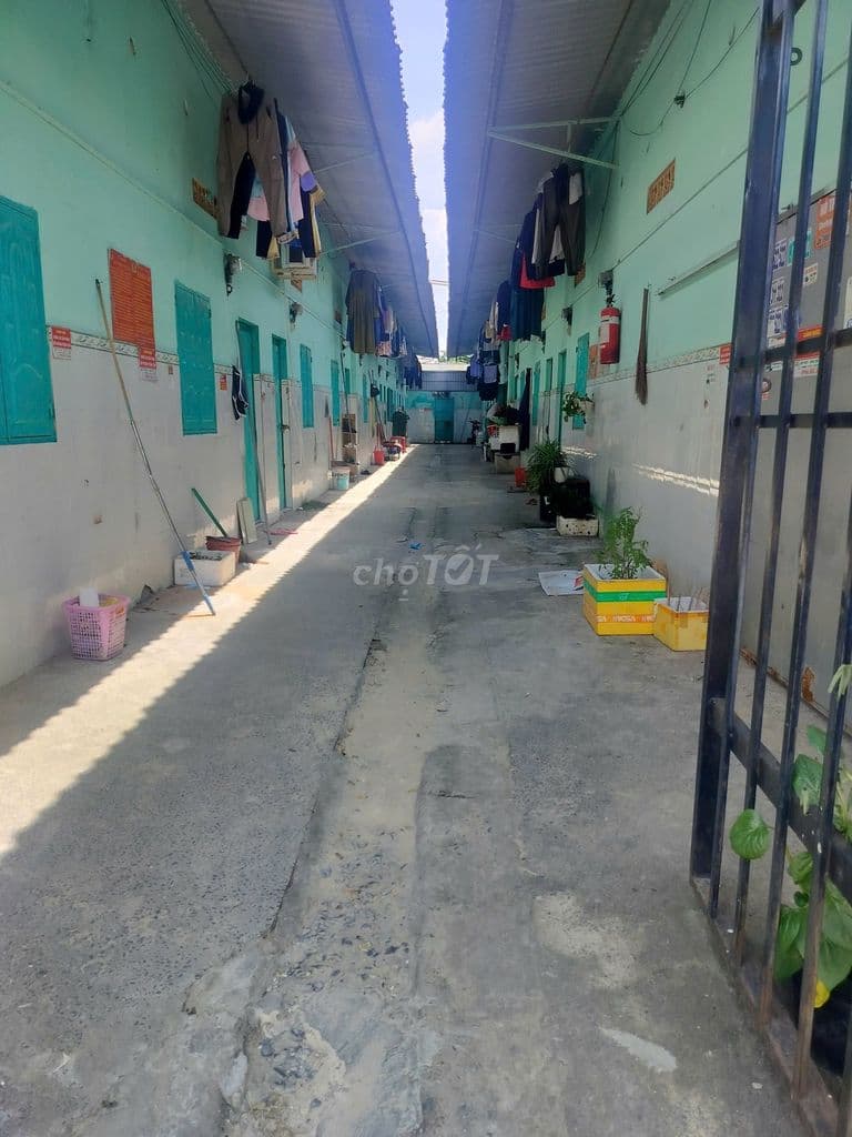 BÁN DÃY TRỌ 20 PHÒNG THU NHẬP 40TR/THÁNG 10*35 FULL THỔ - Ảnh 3