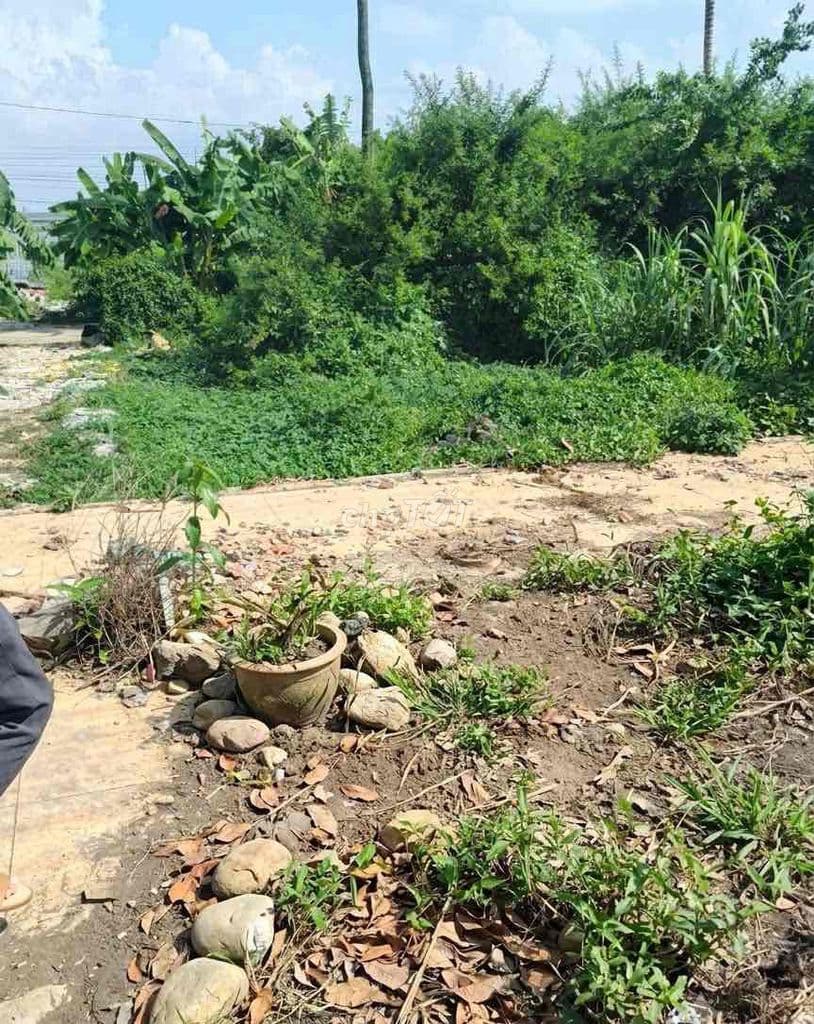 🏡 ĐẤT 2 MẶT HẺM Ô TÔ TRƯỚC SAU,NGANG 5M,ĐƯỜNG TX25-PH THẠNH XUÂN,Q12