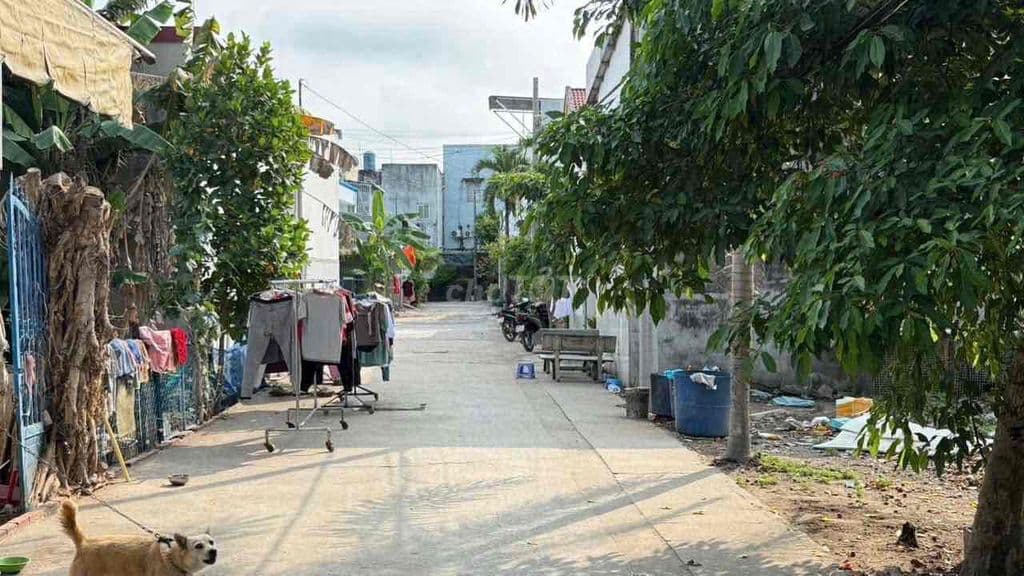 Đất đường 6 Long Trường, gần Nguyễn Duy Trinh, ngộp bank - Ảnh 2