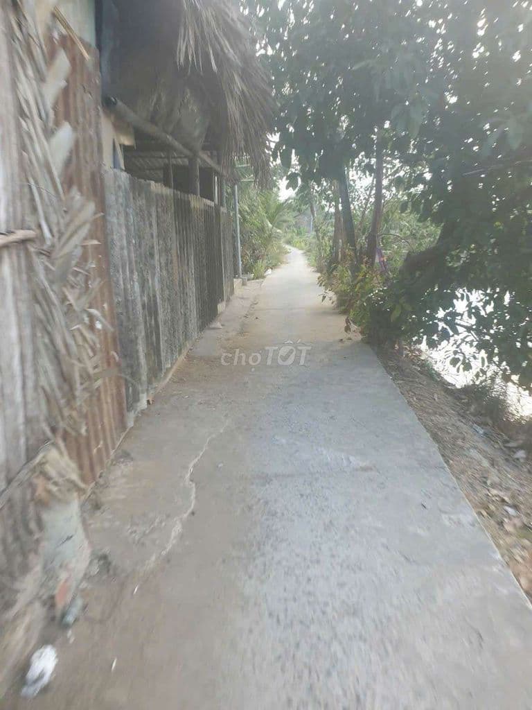 Bán 144m đất thổ cư ngay trường cấp 1,2,3 Bình Khánh vào 300m, 1,7 tỷ - Ảnh 2