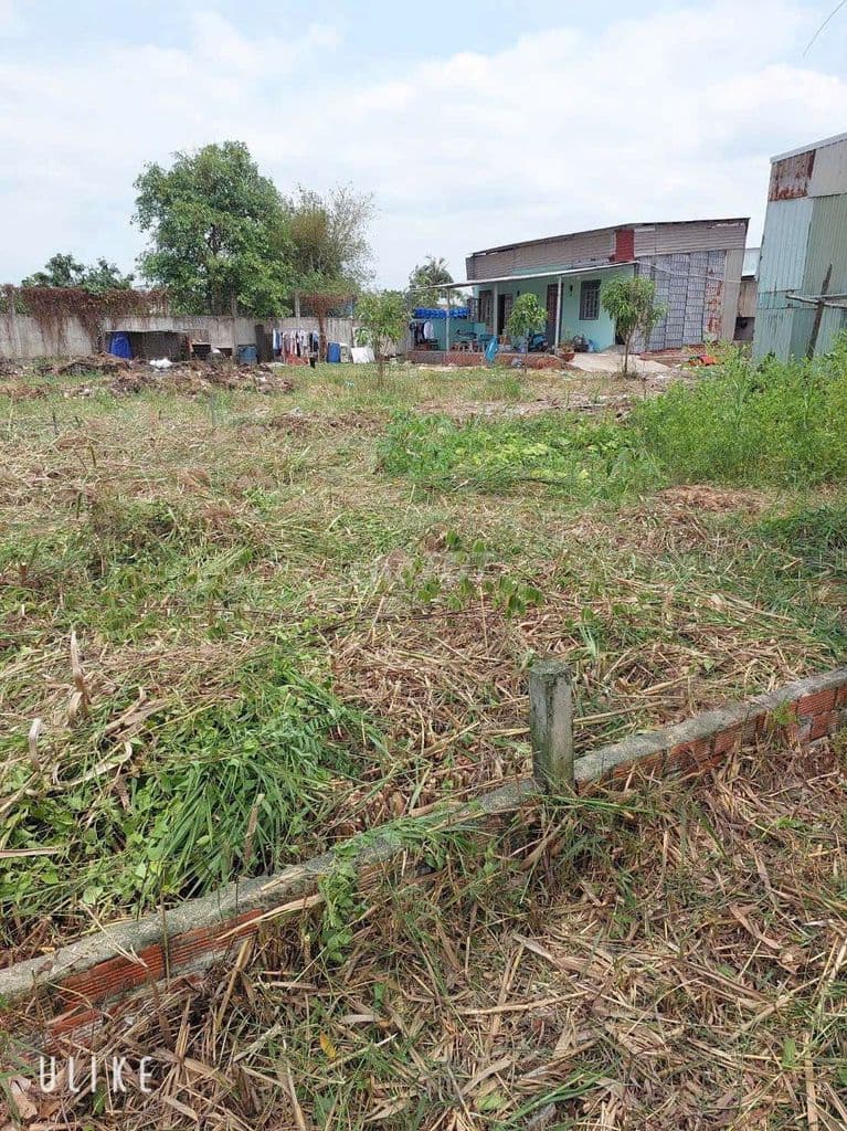 bán đất vườn sổ chung 40m2 đường đa phước ql50 - Ảnh 2