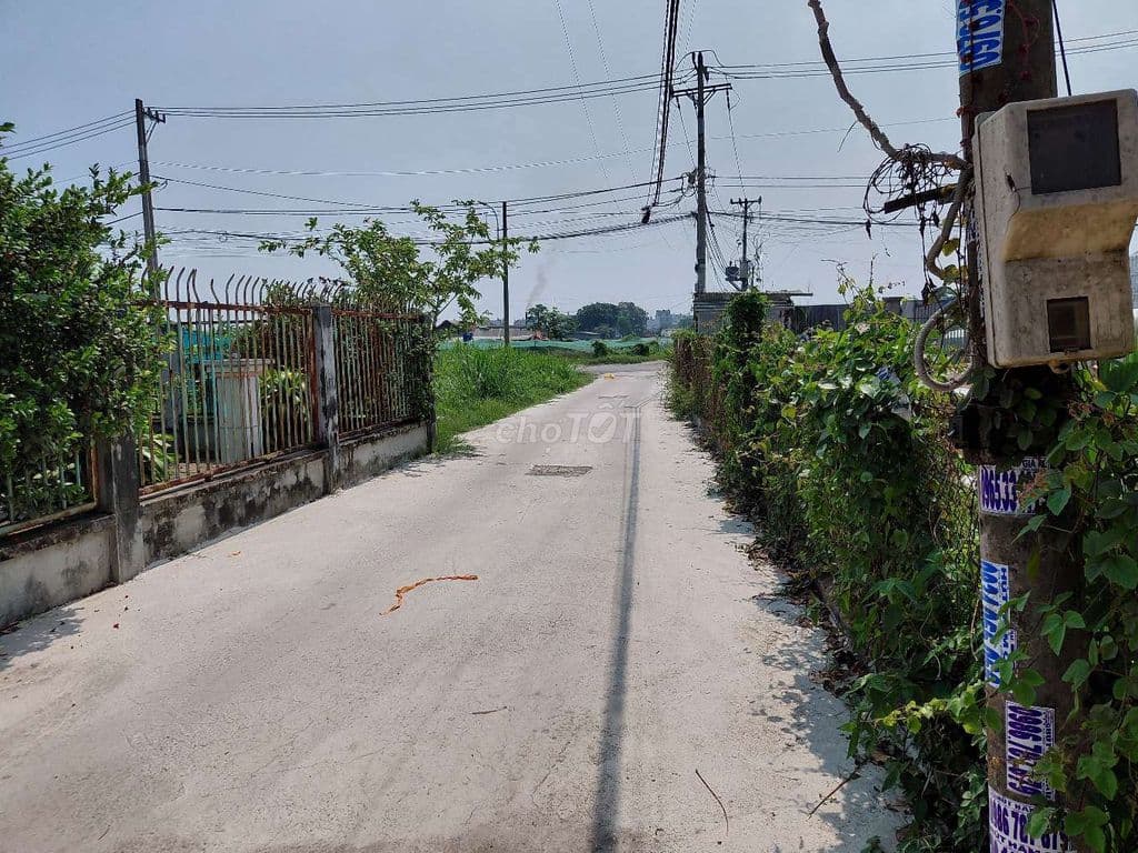 ĐẤT THỔ CƯ NGUYỄN THỊ SÁNG GIÁ RẺ - Ảnh 2